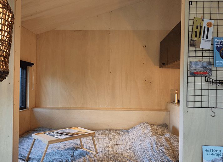 Wooden path to Holiday home in Vledder, in the middle of the greenery of Drenthe.