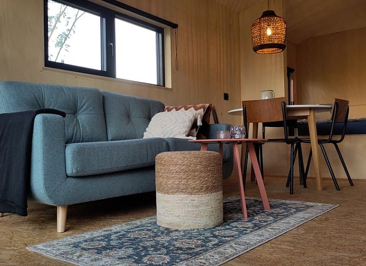 Wooden path to Holiday home in Vledder, in the middle of the greenery of Drenthe.