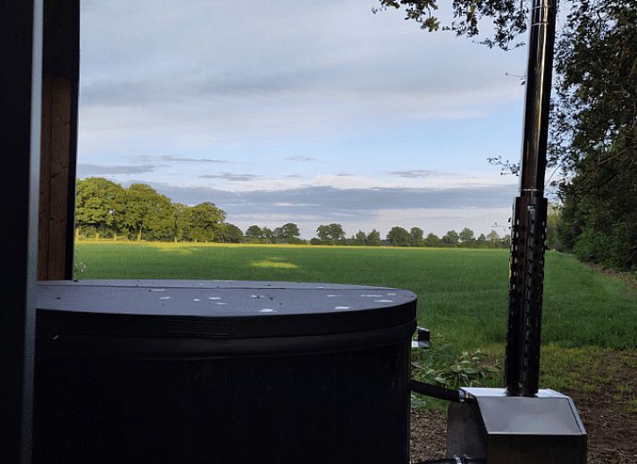 Wooden path to Holiday home in Vledder, in the middle of the greenery of Drenthe.