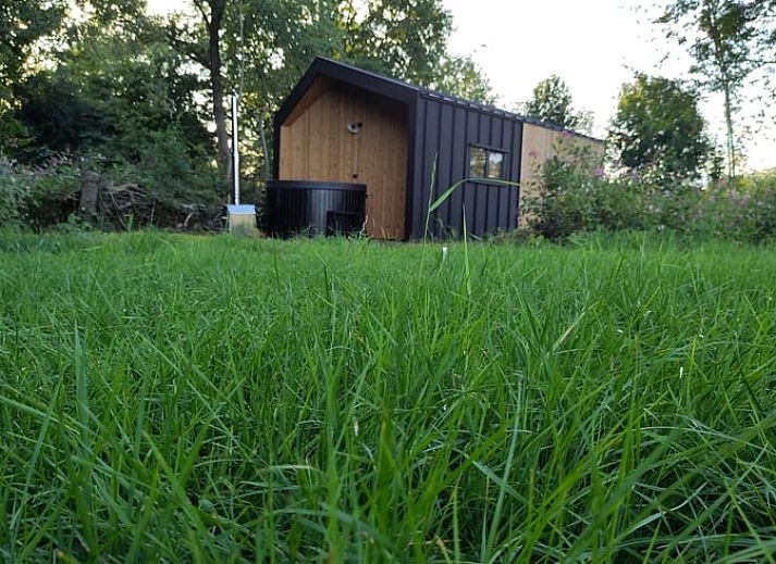 Vacation home in Vledder tucked away in the nature of Southwest Drenthe.