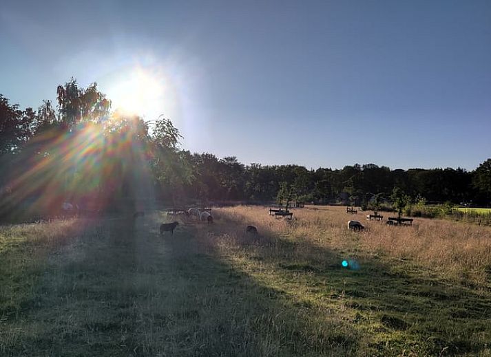 Atmospheric evening lighting at Holiday Home in Vledder, Drenthe.