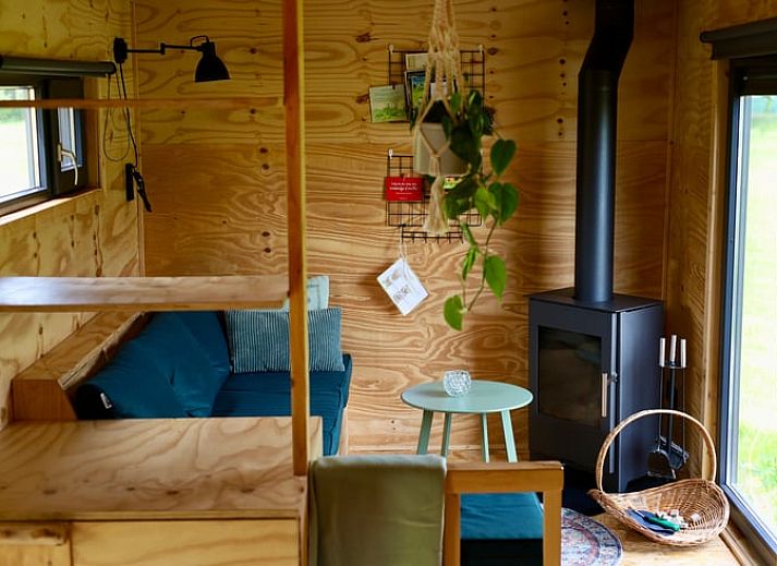 Ferienhaus in Vledder, Ferienhaus in Suedwest-Drenthe mit Haengematte und Picknicktisch in gruener Umgebung.