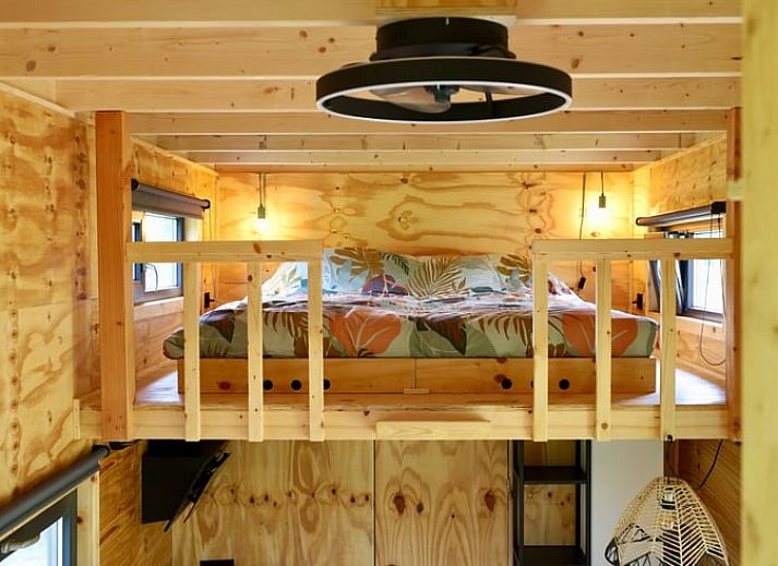 Beleuchtete Abendveranda von Huisje in Vledder, Ferienhaus in Suedwest-Drenthe, Drenthe.