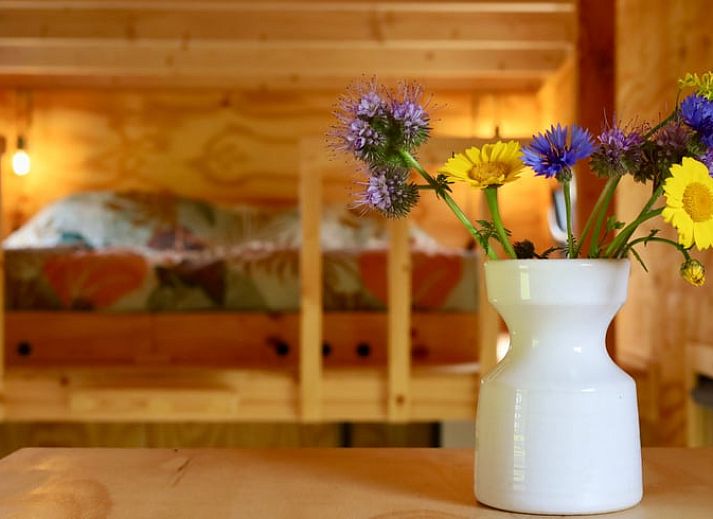 Beleuchtete Abendveranda von Huisje in Vledder, Ferienhaus in Suedwest-Drenthe, Drenthe.