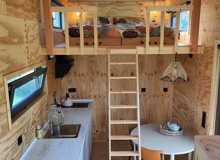 Beleuchtete Abendveranda von Huisje in Vledder, Ferienhaus in Suedwest-Drenthe, Drenthe.