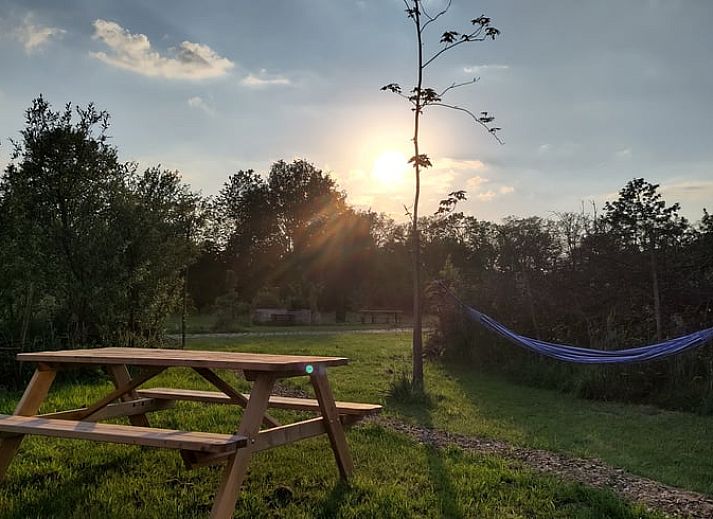 Cottage in Vledder, Ferienhaus in Drenthe mit Terrasse und gruenem Garten in Vledder.