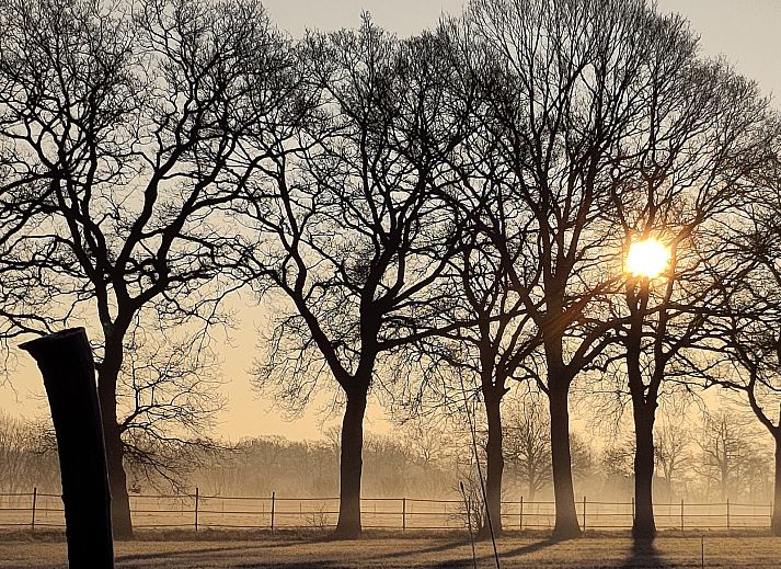 Slaapkamer met stapelbed in vakantiehuis DG1834, Vledder, ideaal voor gezinnen.