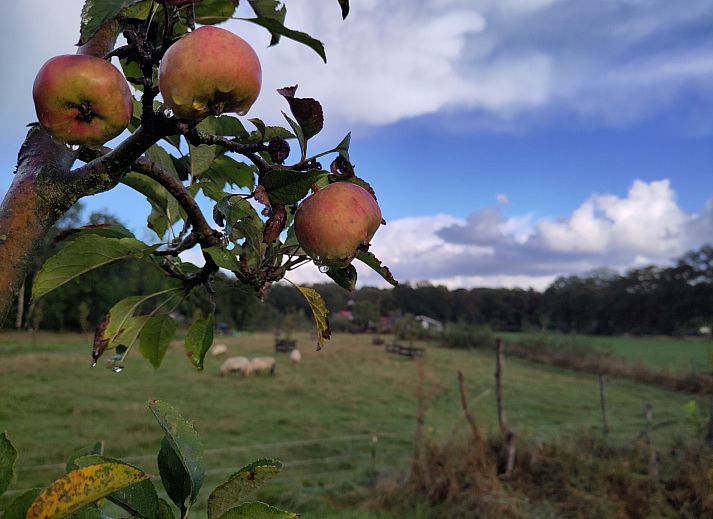 Adembenemende zonsopgang in de omgeving van DG1834, Vledder, Zuidwest Drenthe.