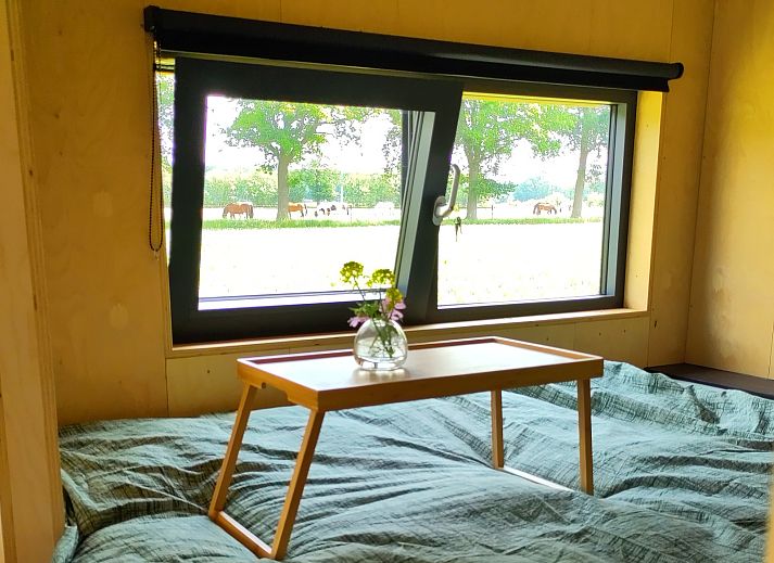 Appelbomen in bloei bij vakantiehuis DG1834, Vledder, Zuidwest Drenthe, omgeven door natuur.