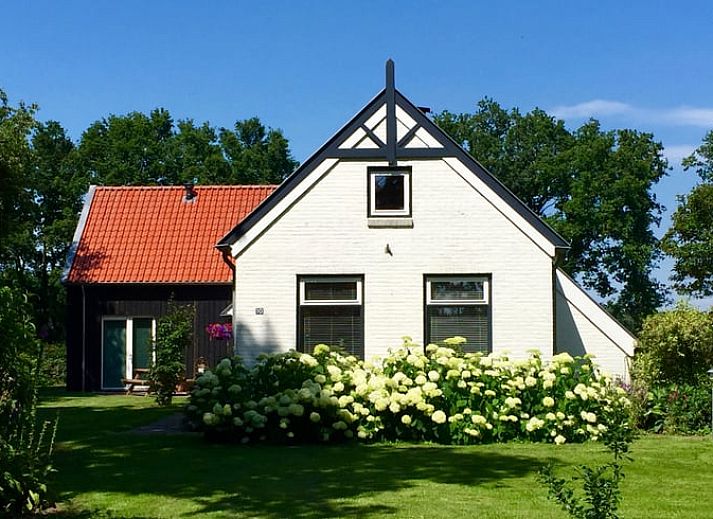 Gezellige veranda bij Vakantiehuis in Wapse, Zuidwest Drenthe, omgeven door groen.