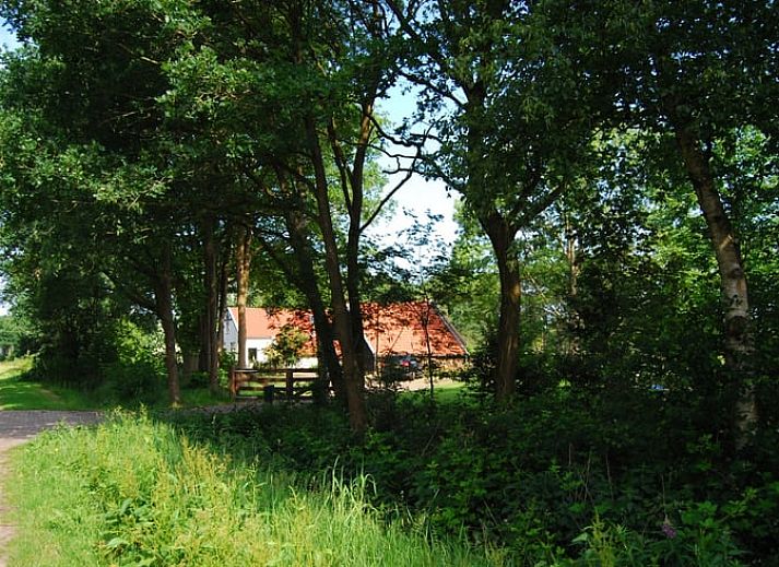 Gezellige veranda bij Vakantiehuis in Wapse, Zuidwest Drenthe, omgeven door groen.