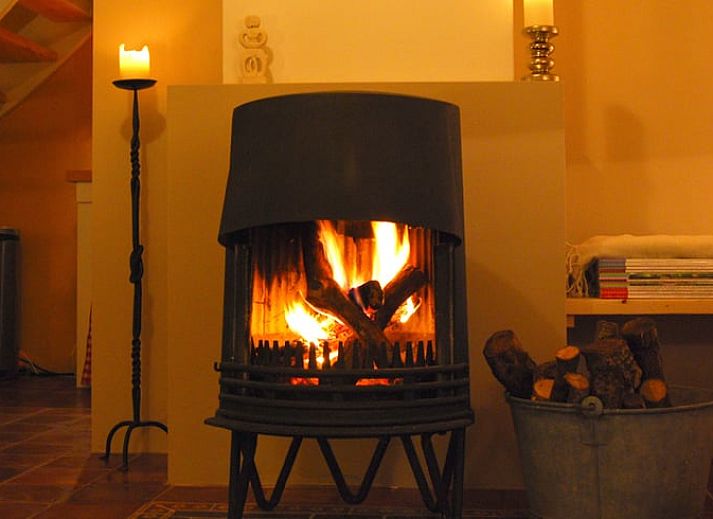 Luchtfoto van Vakantiehuis in Wapse, Zuidwest Drenthe, omringd door velden en bossen.