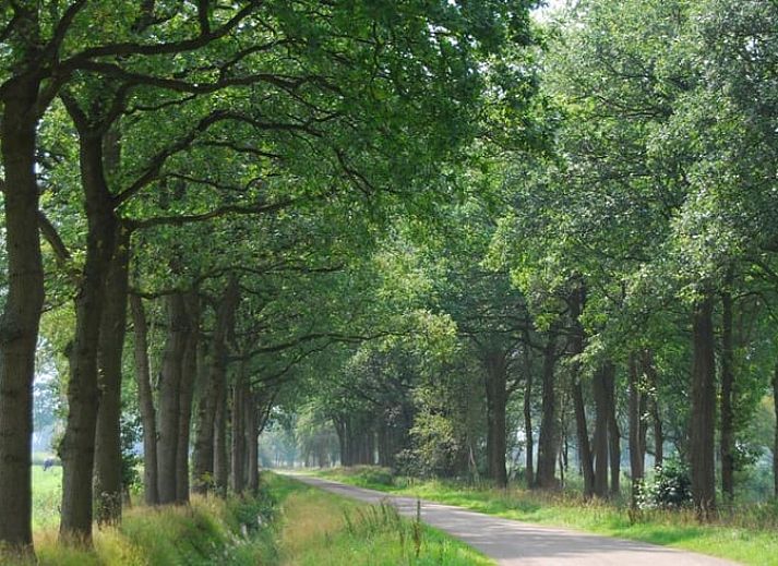 Voorzijde van Vakantiehuis in Wapse, Zuidwest Drenthe, met kleurrijke bloemen.