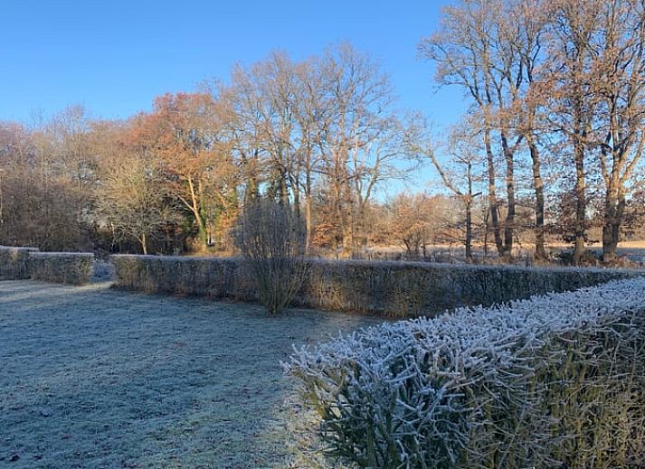 Voorzijde van Vakantiehuis in Wapse, Zuidwest Drenthe, met kleurrijke bloemen.