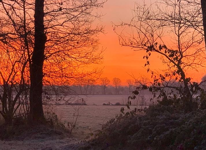 Voorzijde van Vakantiehuis in Wapse, Zuidwest Drenthe, met kleurrijke bloemen.