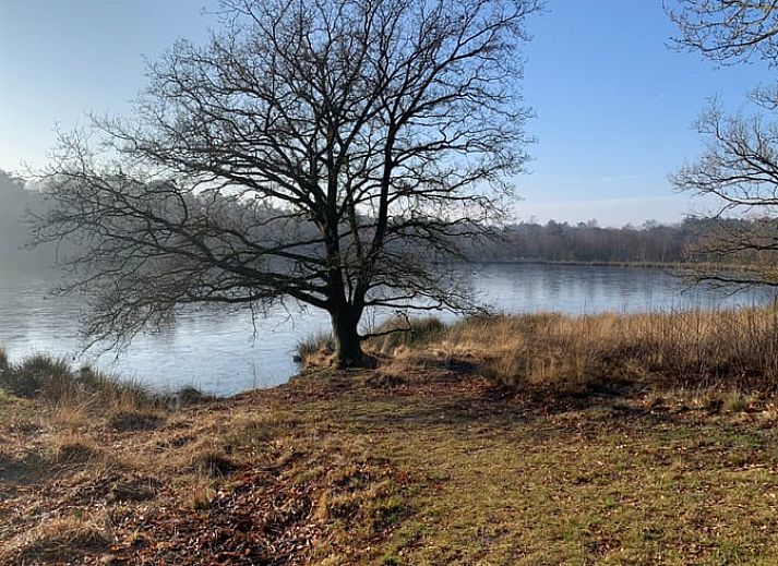 Voorzijde van Vakantiehuis in Wapse, Zuidwest Drenthe, met kleurrijke bloemen.