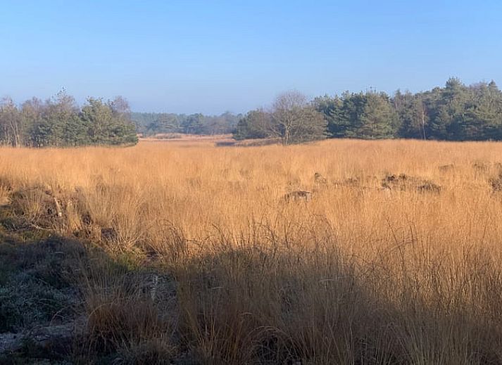 Buitenontbijt bij Vakantiehuis in Wapse, Zuidwest Drenthe, in een groene omgeving.