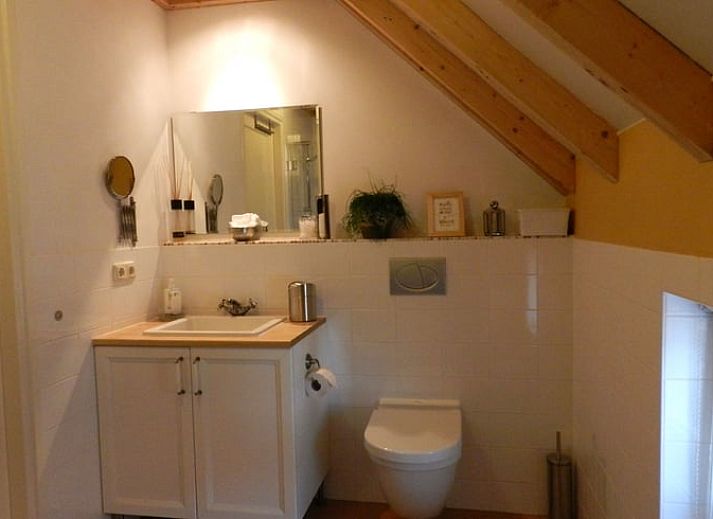 Schaduwrijke laan naar Vakantiehuis in Wapse, Zuidwest Drenthe, omgeven door bomen.