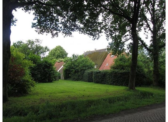 Rustiek Vakantiehuisje in Wapse met rieten dak in Zuidwest Drenthe, omgeven door groene tuin.