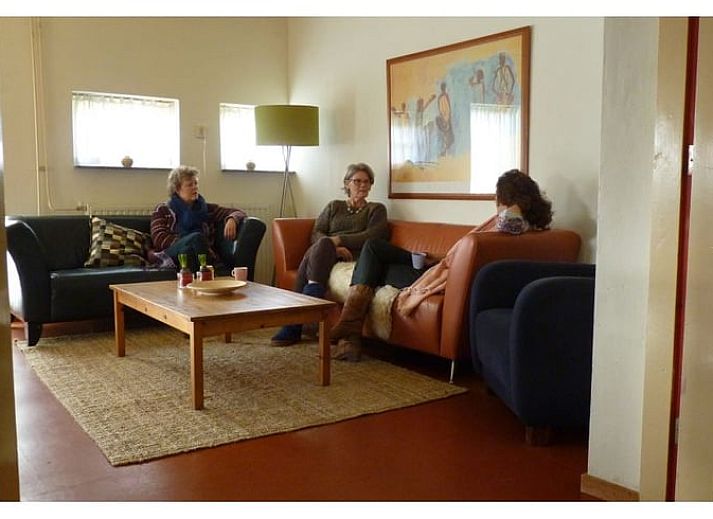 Speeltuin met glijbaan bij Vakantiehuisje in Wapse, ideaal voor kinderen in Zuidwest Drenthe.