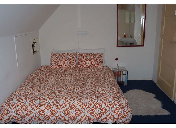 Zonnebloemveld nabij Vakantiehuisje in Wapse, Drenthe, met dramatische wolkenlucht.