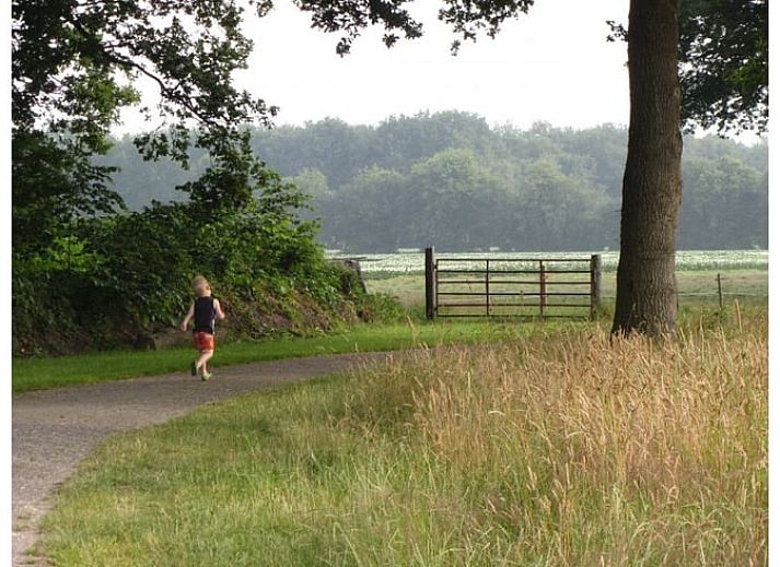 Groene omgeving van Vakantiehuisje in Wapse, Zuidwest Drenthe, met bomen en grasveld.