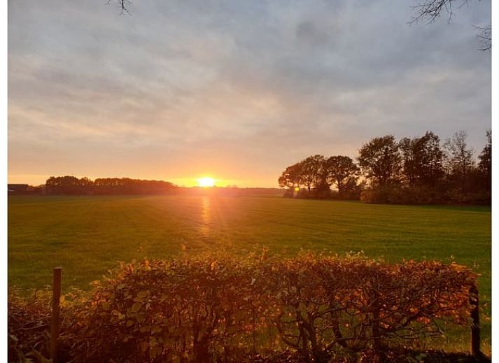 Groene omgeving van Vakantiehuisje in Wapse, Zuidwest Drenthe, met bomen en grasveld.