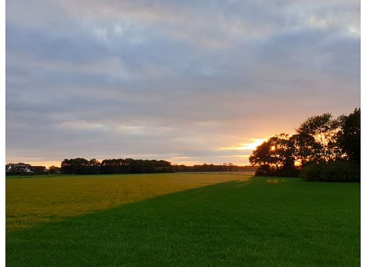 Schapen grazen in de natuur rondom Vakantiehuisje in Wapse, Zuidwest Drenthe.