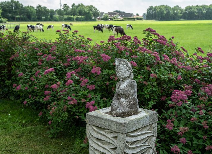 Unterkunft 201718 - Ferienhaus Zuidwest Drenthe - DG1649