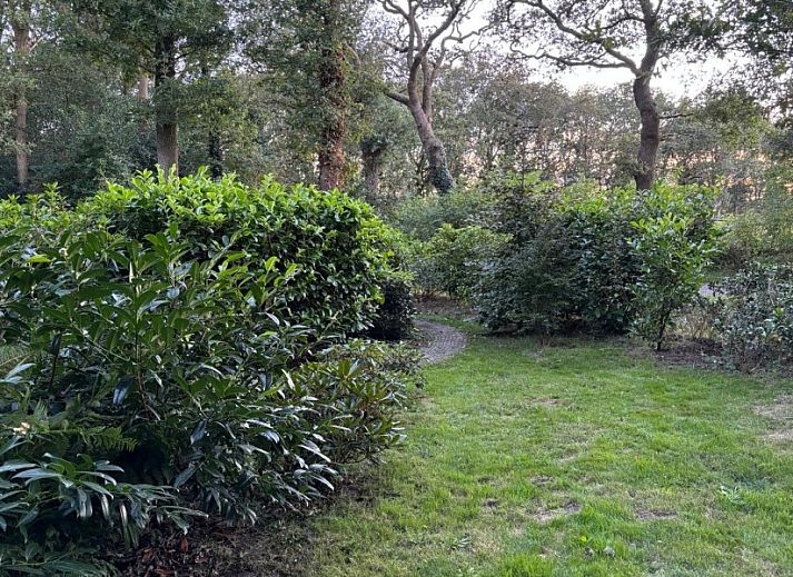 Unterkunft 201804 - Ferienhaus Zuidwest Drenthe - Johanneshof