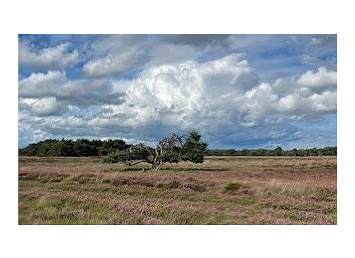 Unterkunft 201804 - Ferienhaus Zuidwest Drenthe - Johanneshof