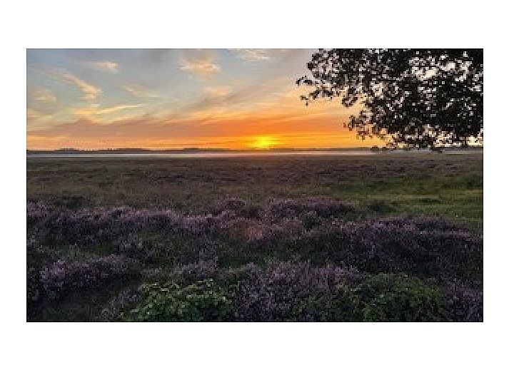 Unterkunft 201804 - Ferienhaus Zuidwest Drenthe - Johanneshof