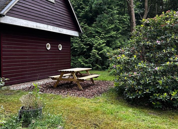 Huisje in Wateren, vakantiehuis omgeven door groene natuur in Zuidwest Drenthe, perfect voor een rustgevende vakantie in Westerveld.