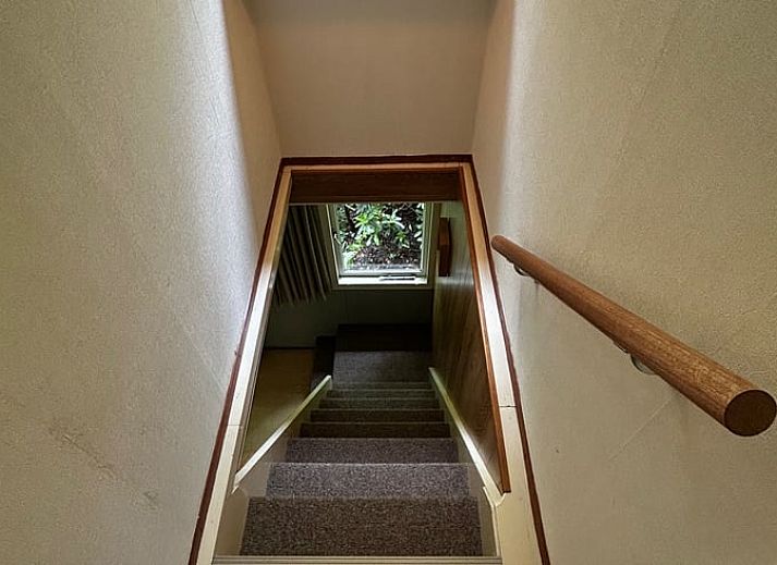 Geniet van de rust bij Huisje in Wateren, een vakantiehuis in Zuidwest Drenthe, met een gezellige picknickplek omringd door natuur.