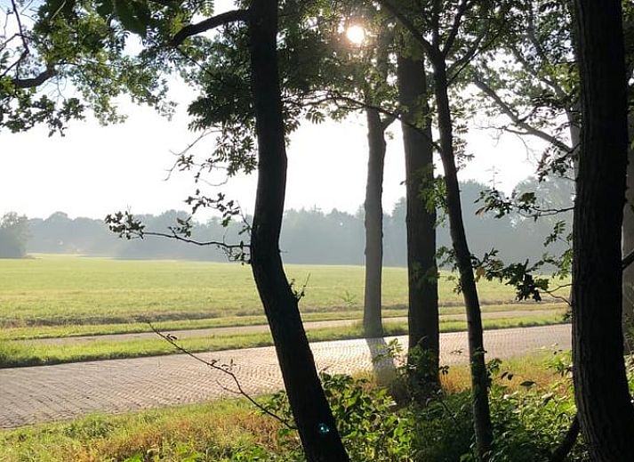Ontspan in de groene tuin van Huisje in Wateren, Westerveld, Drenthe, met picknicktafel en schommel, omringd door natuur.