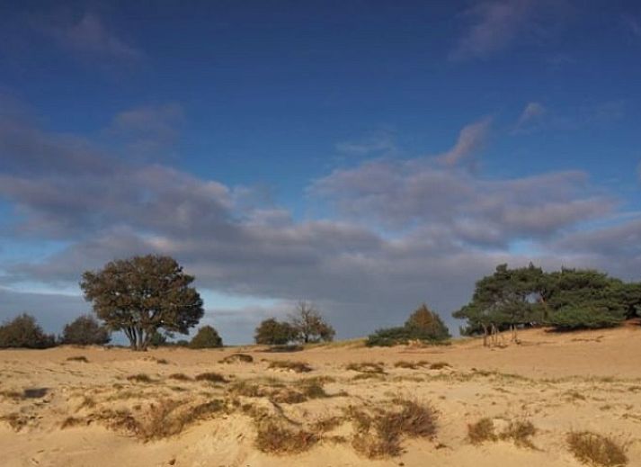 Binnenruimte van Huisje in Wateren, vakantiehuis in Zuidwest Drenthe, met houten opbergrek en uitzicht op groene natuur door het raam.