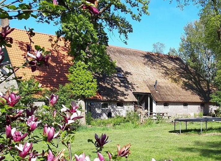 Moderne Kueche in einem Ferienhaus in Wateren, Drenthe, mit roten Schraenken und Holzbalken.