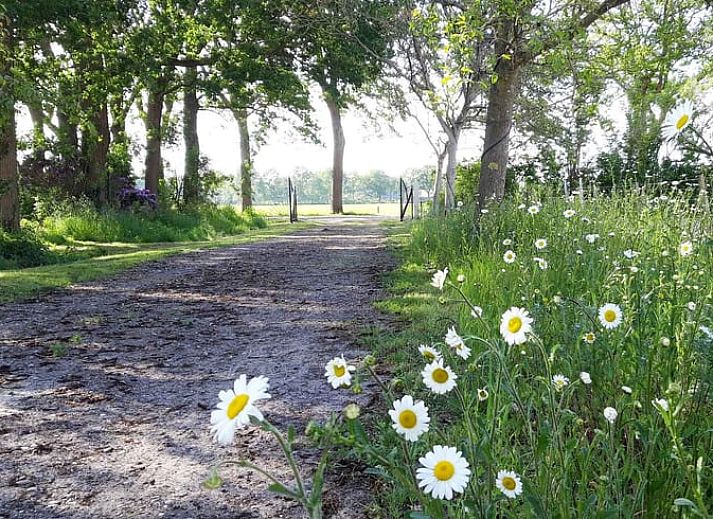 Gemuetliches Bettgestell in einem Ferienhaus in Wateren, Westerveld, ideal fuer einen erholsamen Aufenthalt in Drenthe.