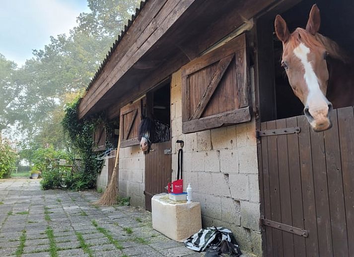 Komfortables Wohnzimmer im Cottage in Wateren, Westerveld, mit moderner Einrichtung und gemuetlicher Atmosphaere.