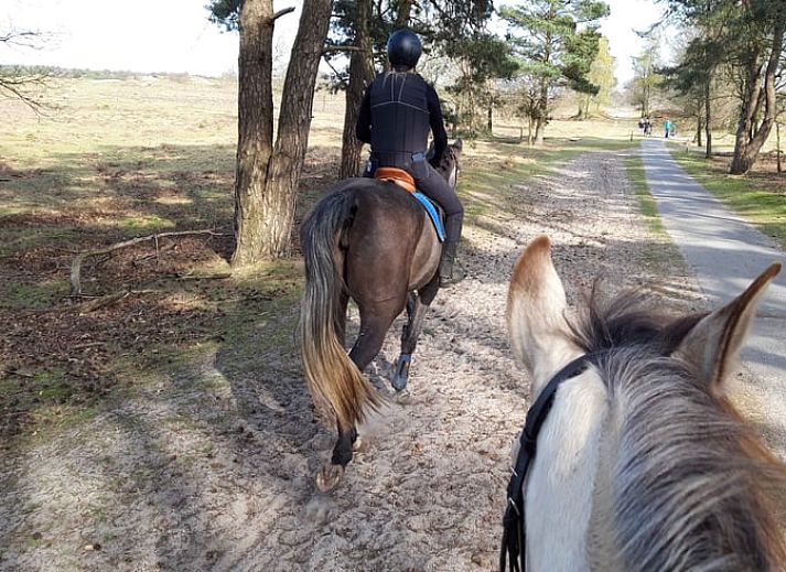 Komfortables Wohnzimmer im Cottage in Wateren, Westerveld, mit moderner Einrichtung und gemuetlicher Atmosphaere.