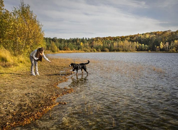 Komfortables Wohnzimmer im Cottage in Wateren, Westerveld, mit moderner Einrichtung und gemuetlicher Atmosphaere.