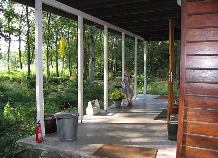Ferienhaus in Wateren, Westerveld, umgeben von gruener Natur im Suedwesten von Drenthe, ideal fuer einen erholsamen Aufenthalt.
