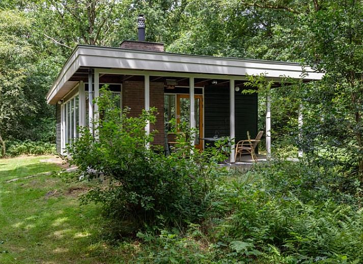 Gemuetliches Ferienhaus in Wateren, Westerveld mit Terrasse im waldreichen Suedwesten von Drenthe, ideal fuer Naturliebhaber.
