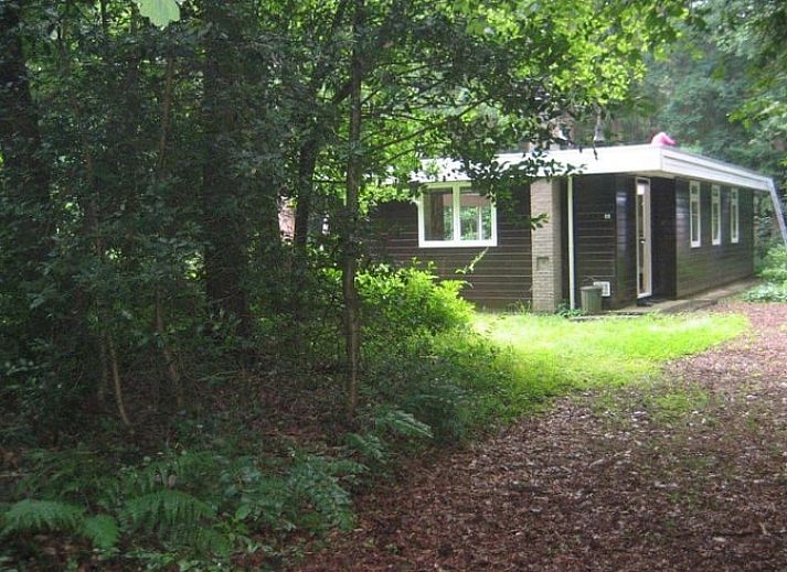 Gemuetliches Wohnzimmer im Ferienhaus in Wateren, Westerveld mit offener Kueche in Drenthe.