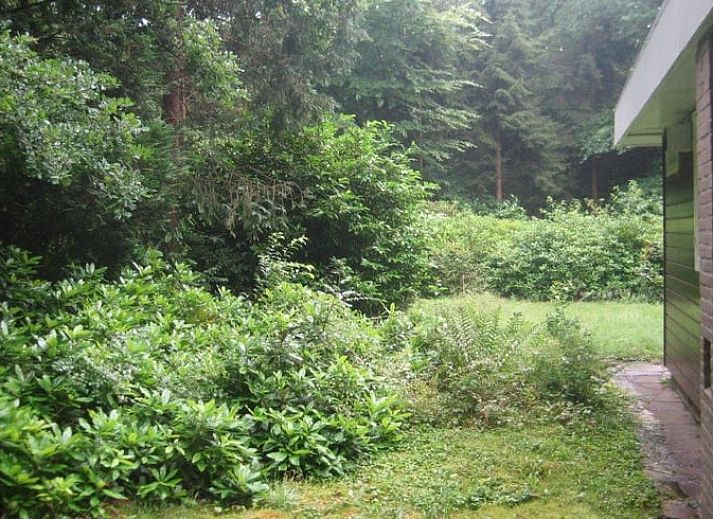 Essecke mit Blick auf den Garten im Cottage in Wateren, Westerveld, Drenthe.