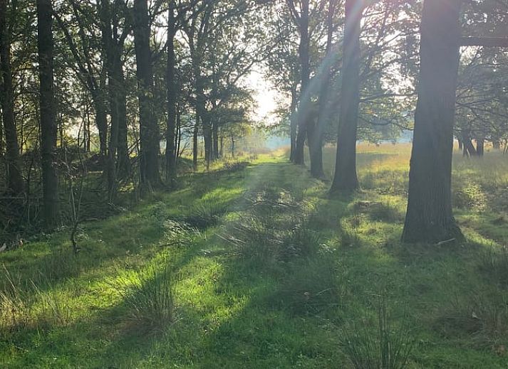 Essecke mit Blick auf den Garten im Cottage in Wateren, Westerveld, Drenthe.