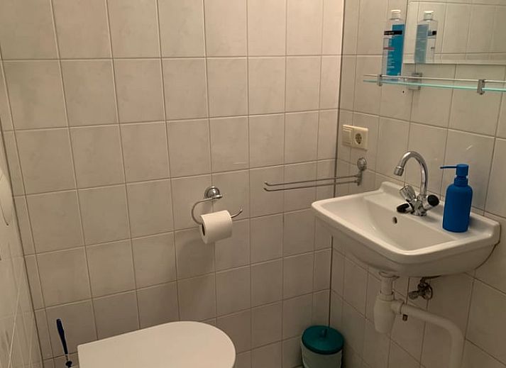 Aussenansicht des Ferienhauses Cottage in Wateren, Westerveld, umgeben von Natur in Drenthe.