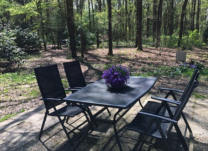 Ferienhaus in Wateren, Westerveld, umgeben von waldreicher Natur im Suedwesten von Drenthe, ideal fuer Naturliebhaber.