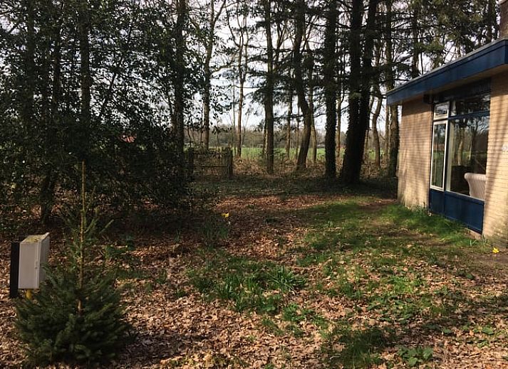 Ferienhaus in Wateren, Westerveld, umgeben von waldreicher Natur im Suedwesten von Drenthe, ideal fuer Naturliebhaber.