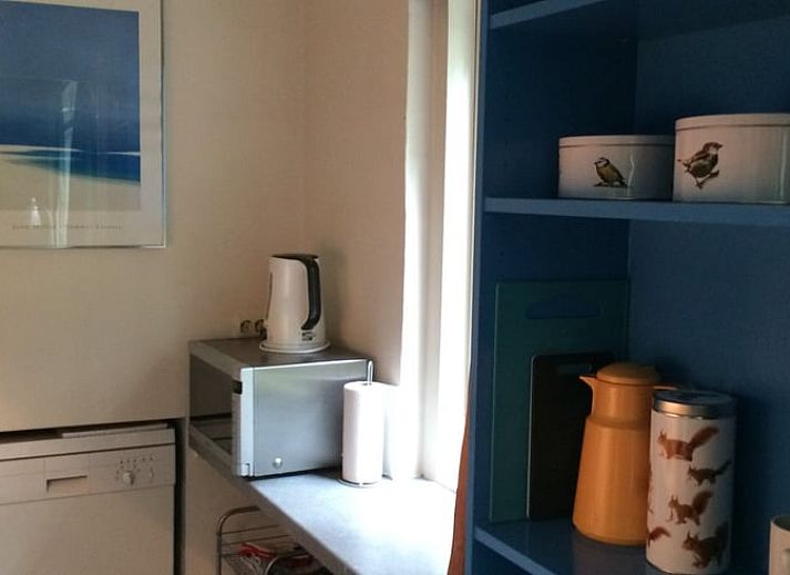 Eichhoernchen auf dem Baum beim Ferienhaus in Wateren, Westerveld, Suedwest-Drenthe, ideal fuer Tierliebhaber.